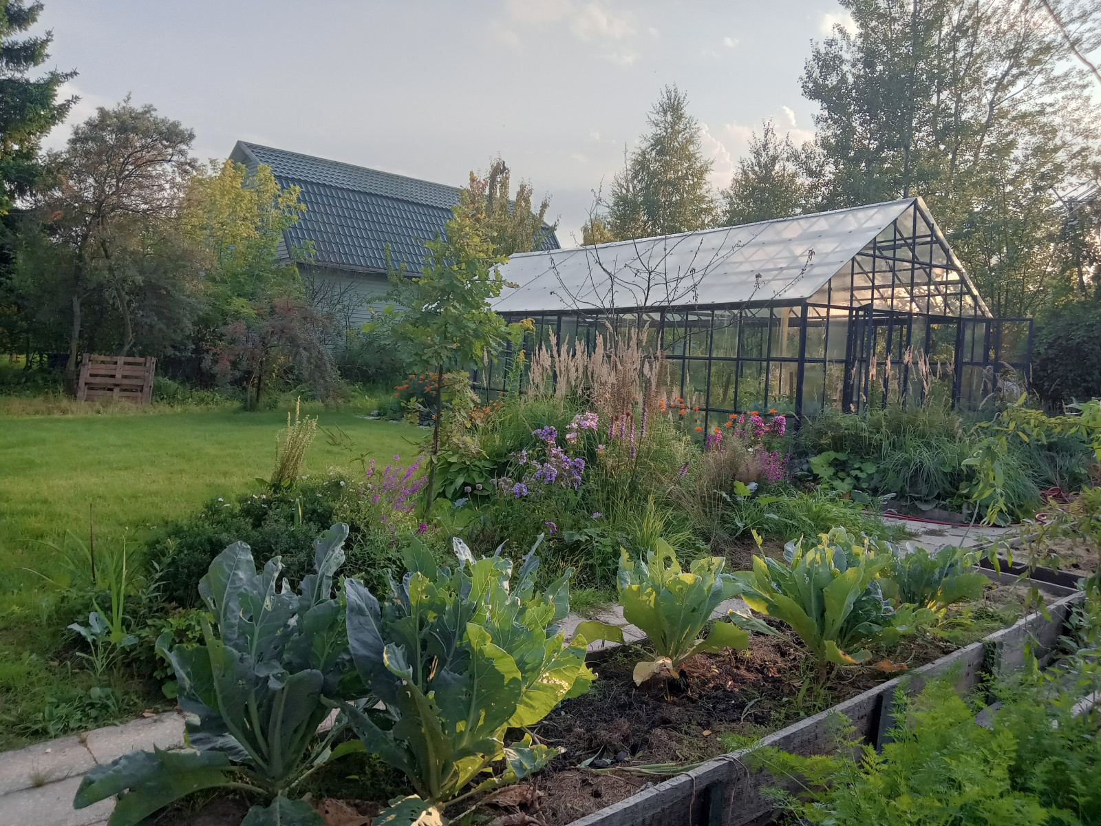 Обложка проекта: Долгое Ледово