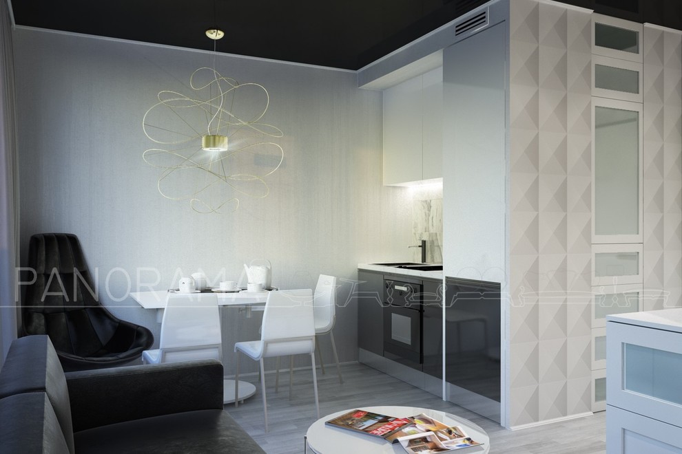 Проект квартиры-студии, S - 26 кв.м.