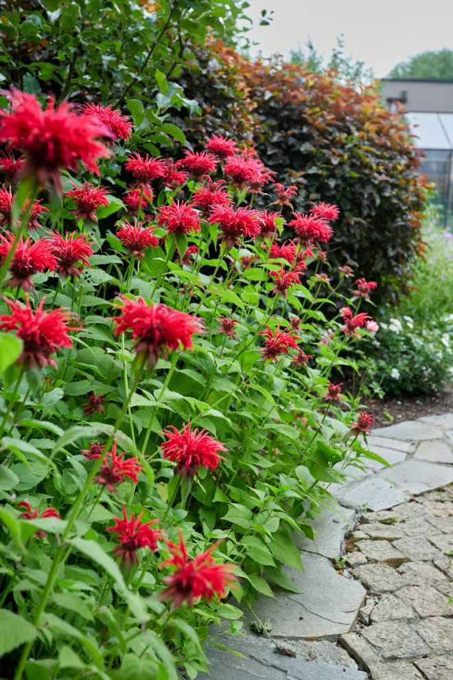 Сад свежести