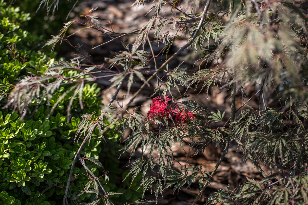 Ландшафтный Дизайн Олимпийский Сочи
