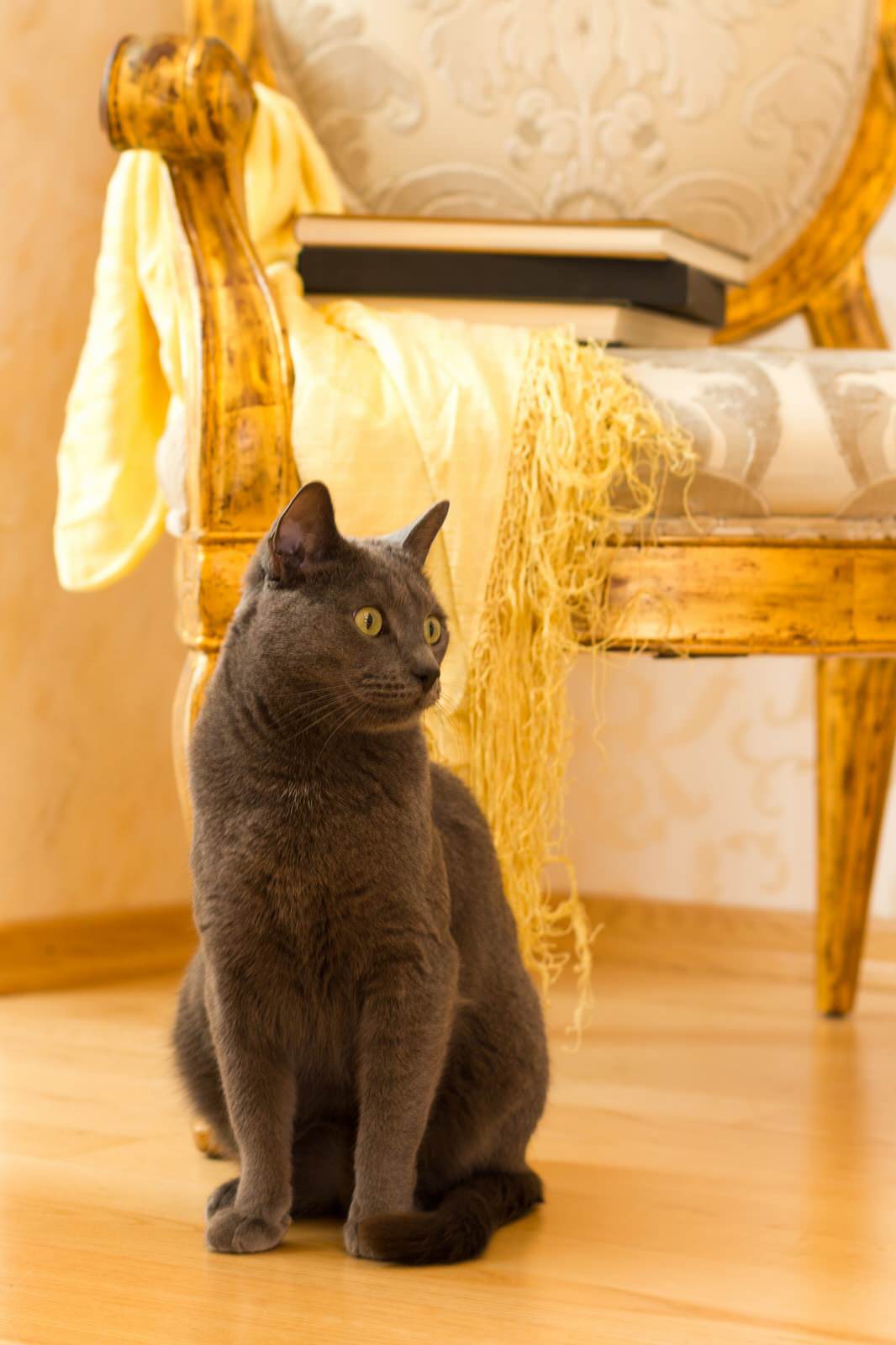 Элегантная классика на берегу Невы