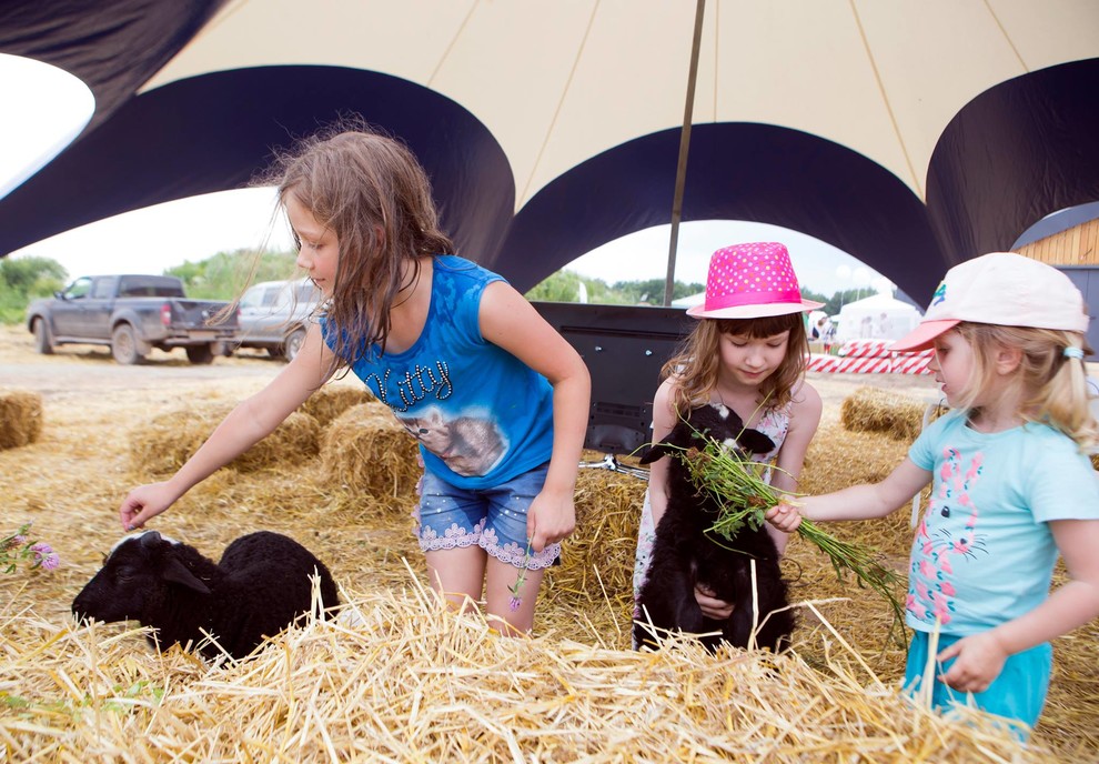 Портрет: Гостиница-теплица и архитектурные «чудеса» парка «Ясно Поле»