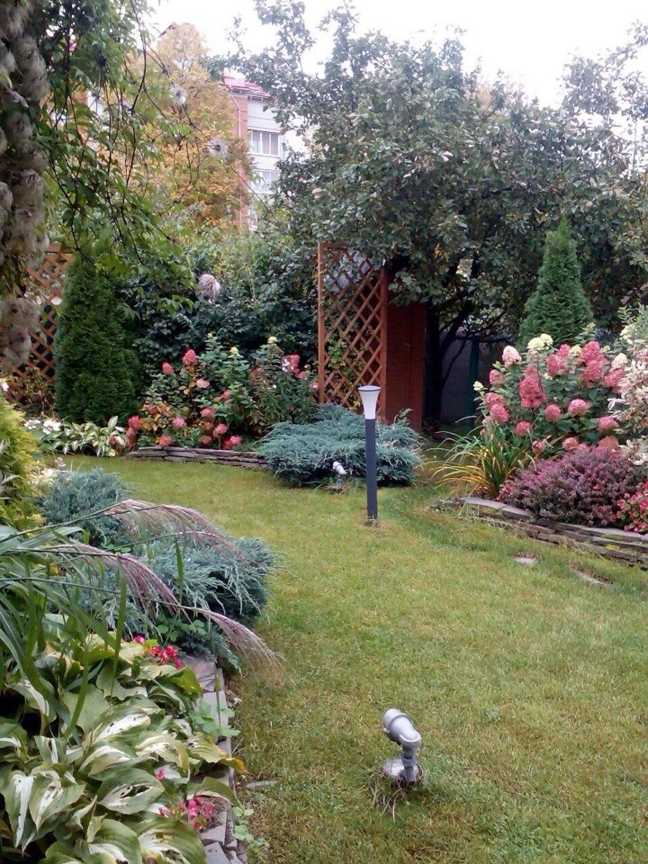 Озеленение, ландшафтный дизайн