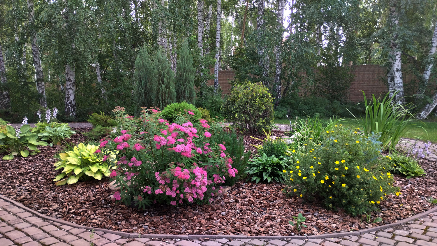 Обложка проекта: Проект лесного участка "Скалки"