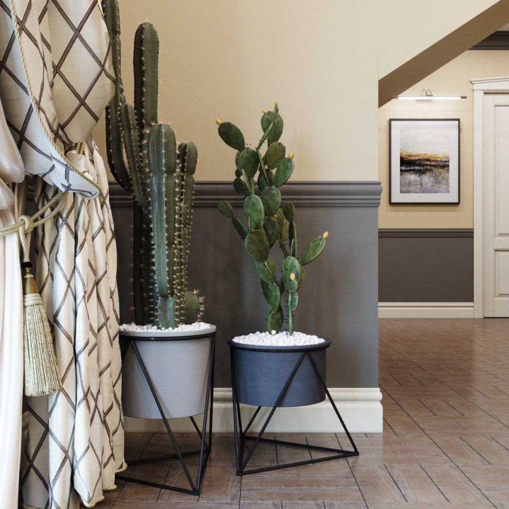 Проект дома в сосновом бору