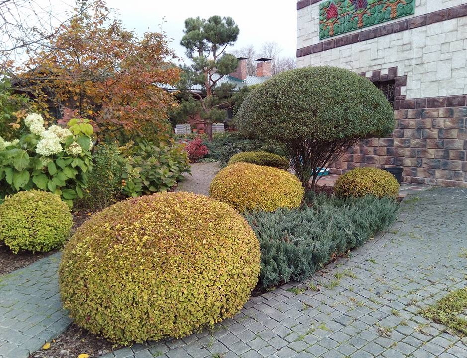 Сенькино московская обл