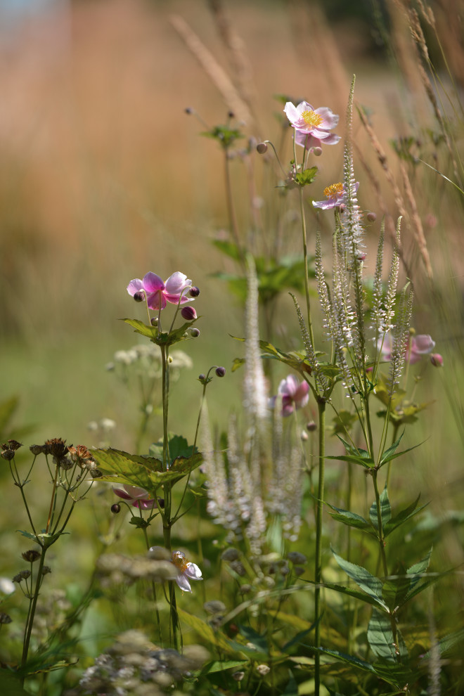 В духе ретро