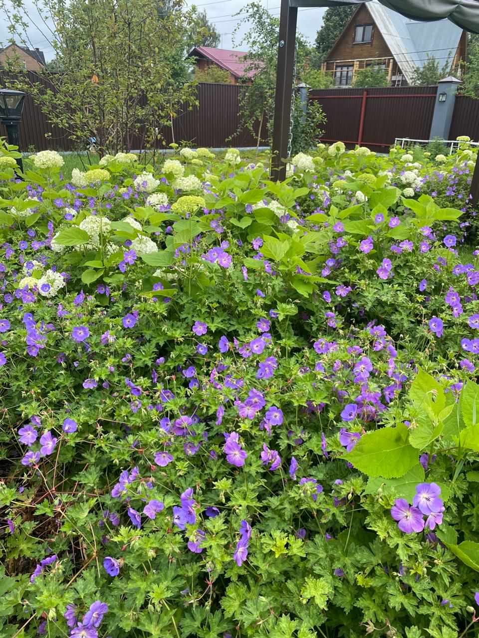 КП Альфа Терехово