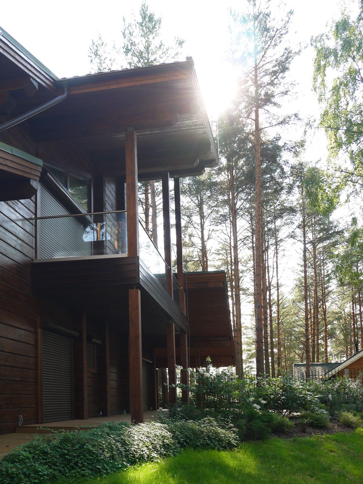 Обложка проекта: Окуневая