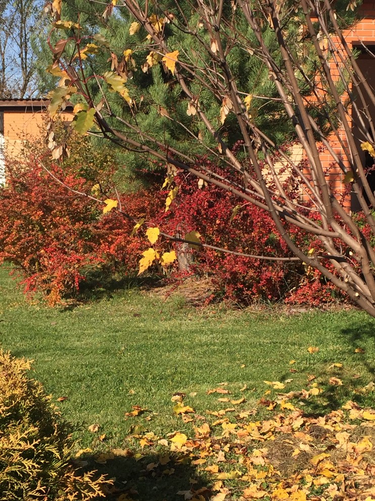 Люторецкое (Чеховский р-он)