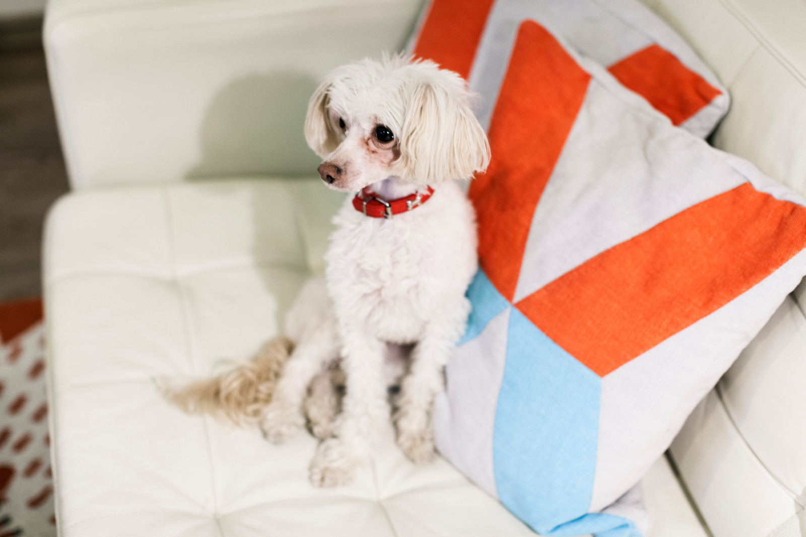 Эва и Вадим/ Тверская