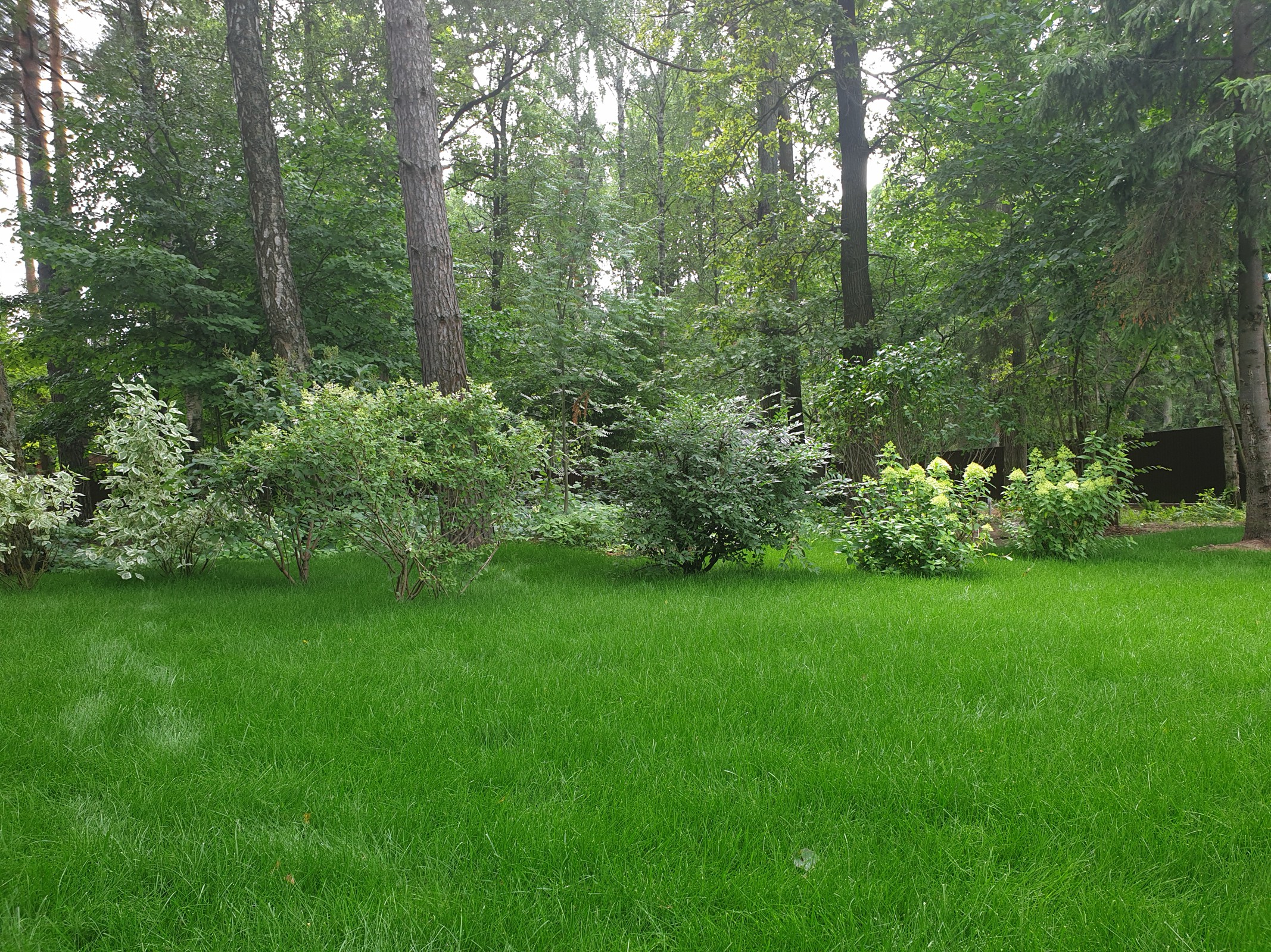 Теневой сад в Новогорске.