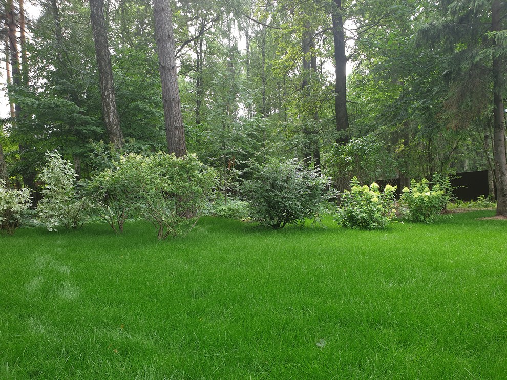 Теневой сад в Новогорске.