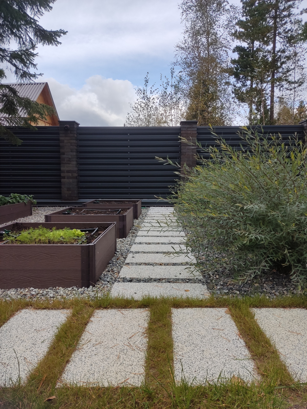 Денис Светлый Яр