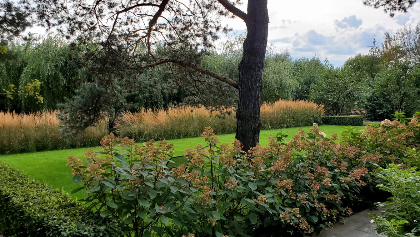 Обложка проекта: LESS IS MORE