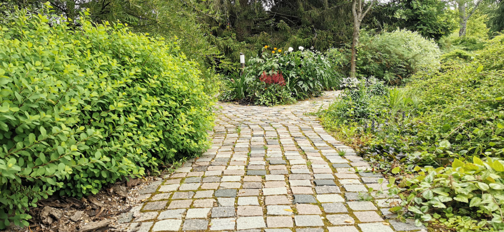 Лесное озеро