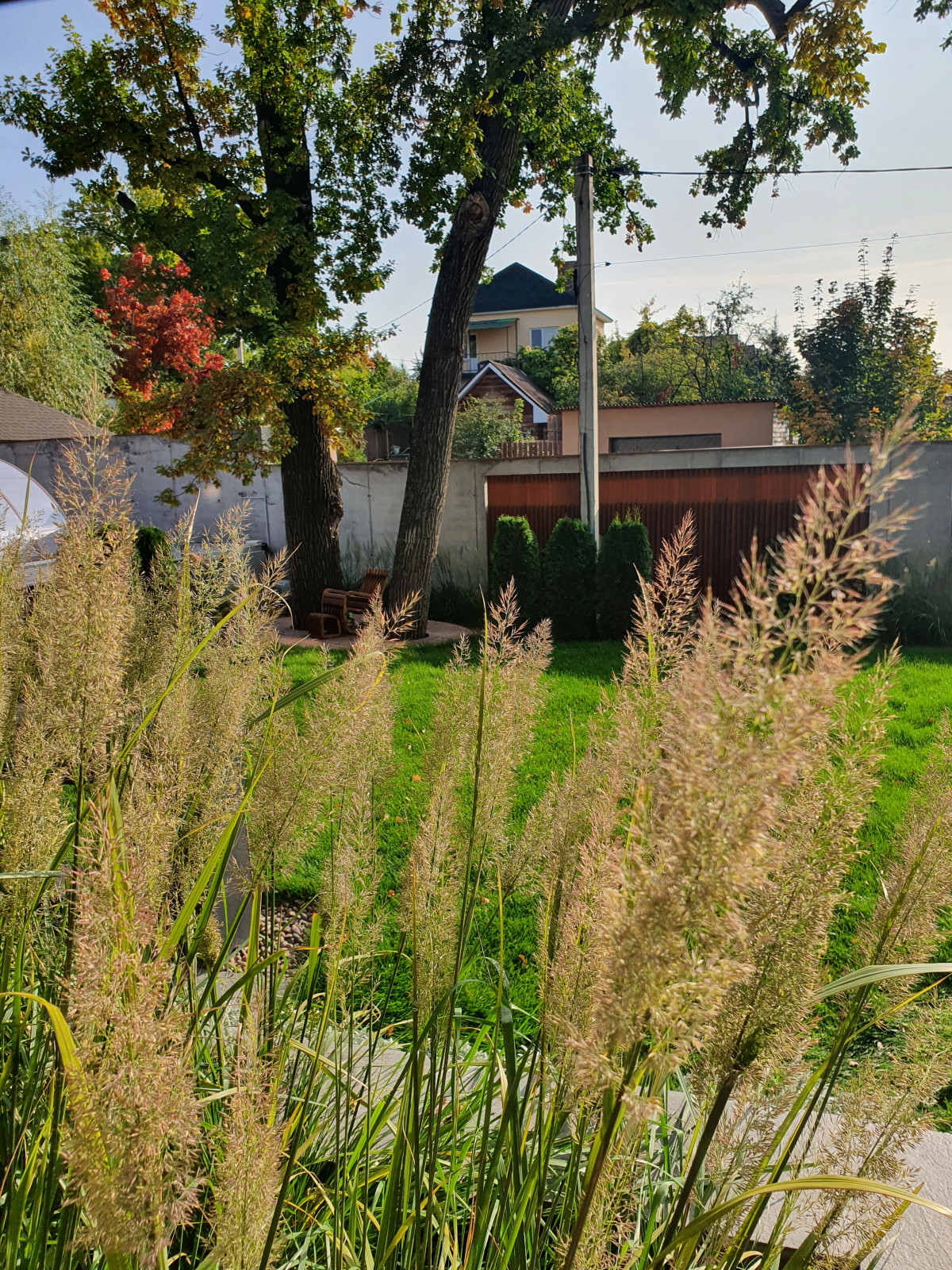 Обложка проекта: Современный сад