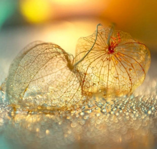 Наталия Наталия