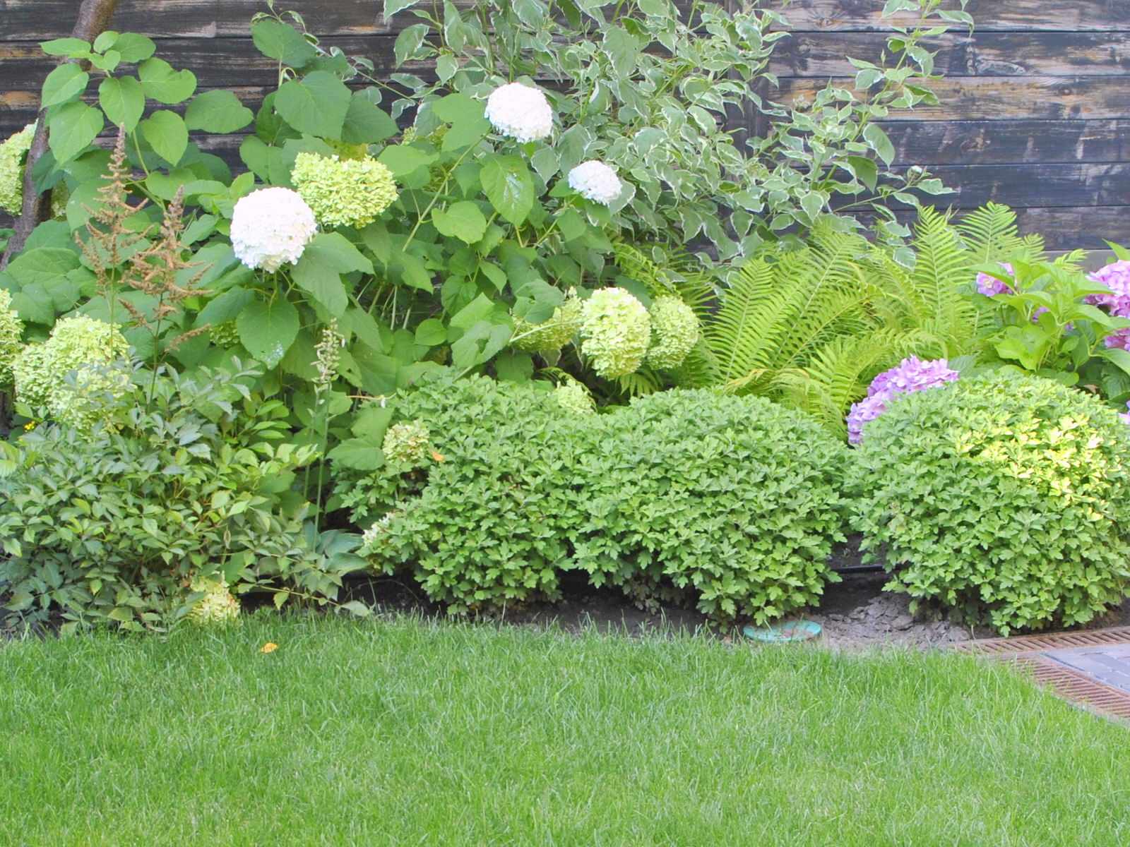 Сад с японскими интонациями.