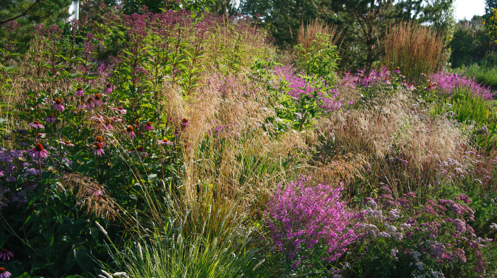 Обложка проекта: Осень