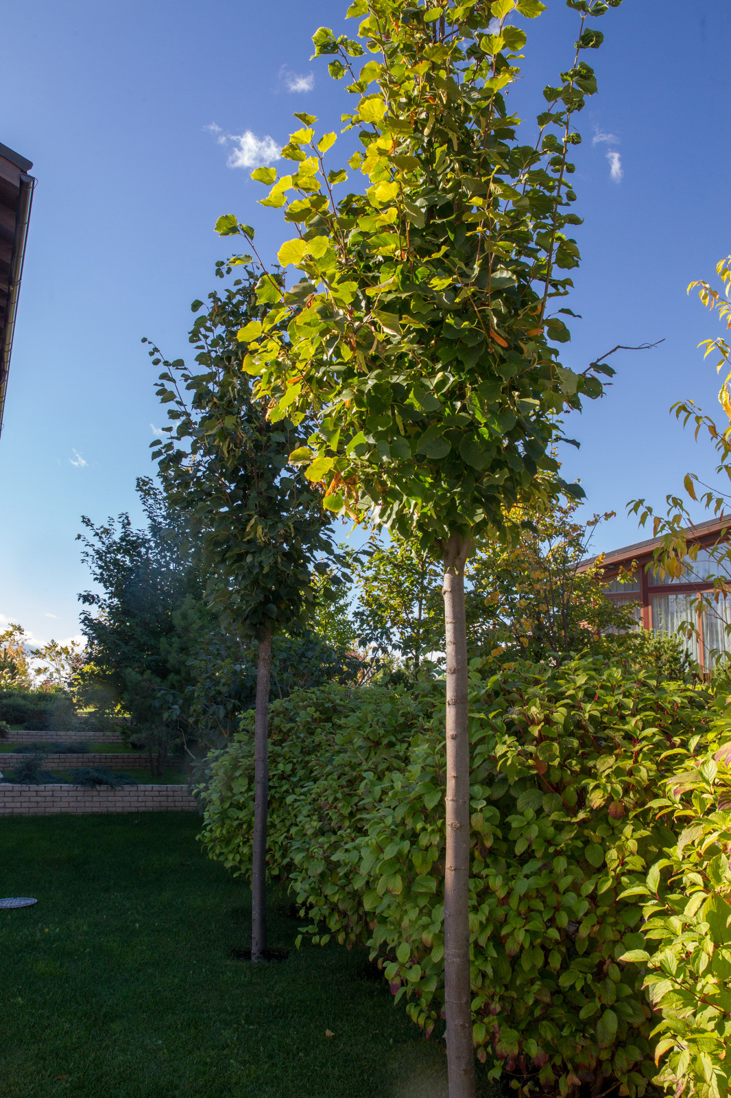 Сад на Пятницком шоссе.  Дизайнер Лариса Юрова