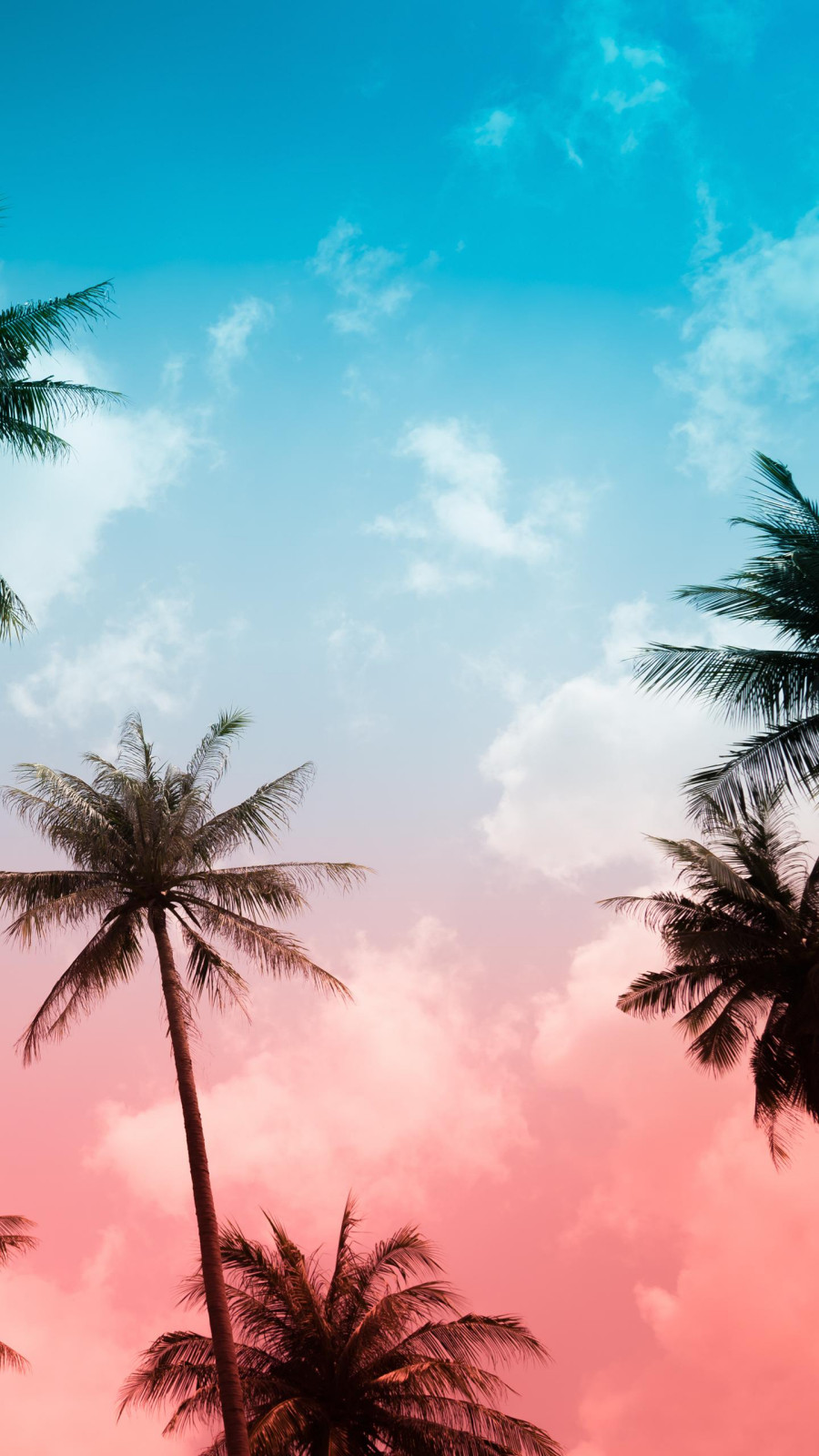 Обложка проекта: test