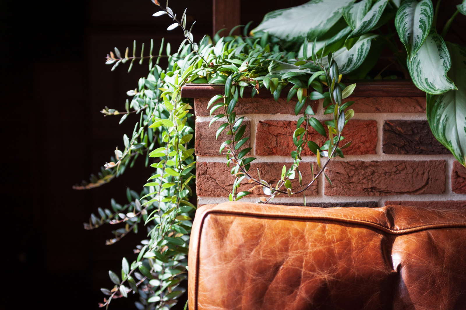 Интерьер зимнего сада