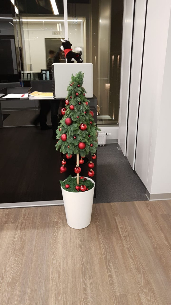 Новогоднее оформление