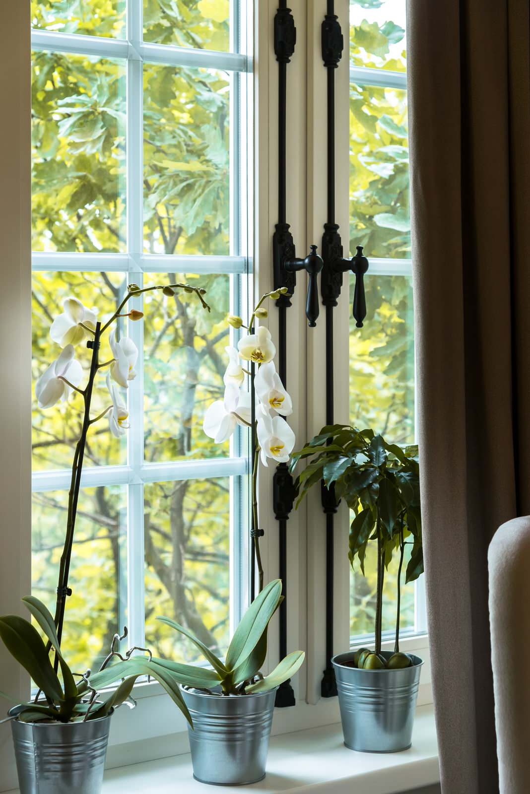 Французская гостиная