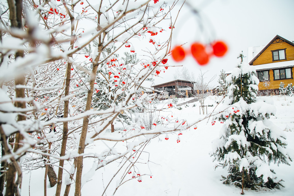 Просто фото: 20 садов в снегу