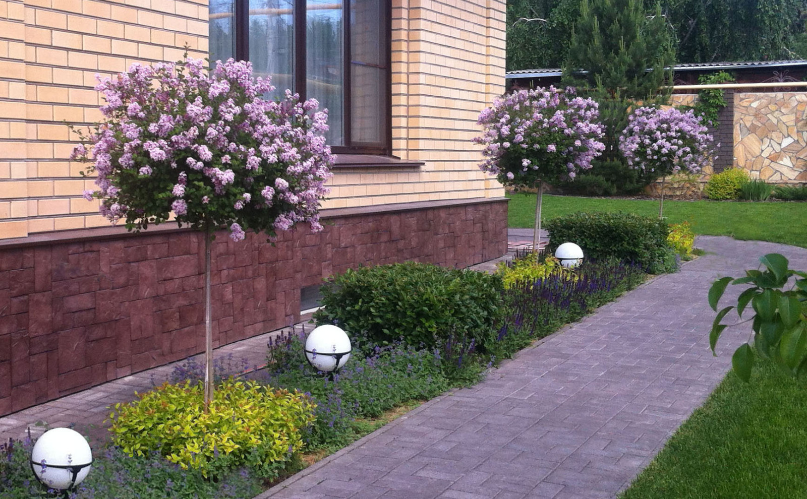 Обложка проекта: Сиреневый дождь