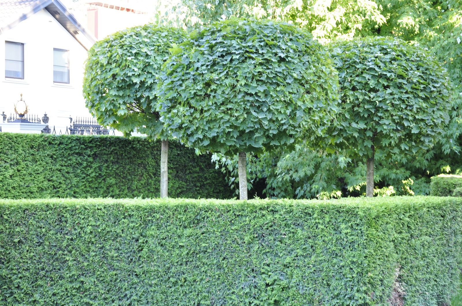 кп "Усово" - Уход за садом - 100% качество