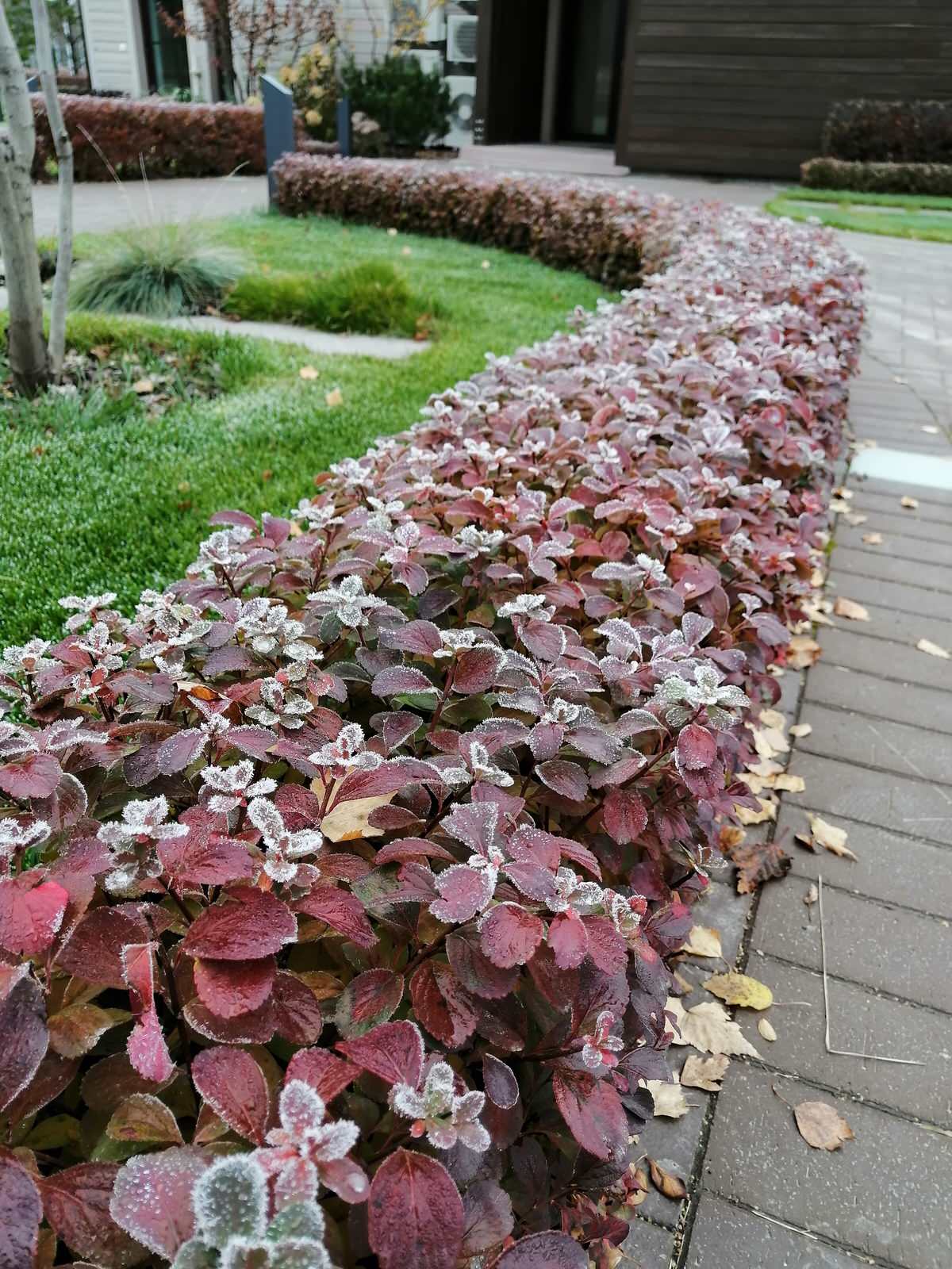 Участок с видом на гольф-поле
