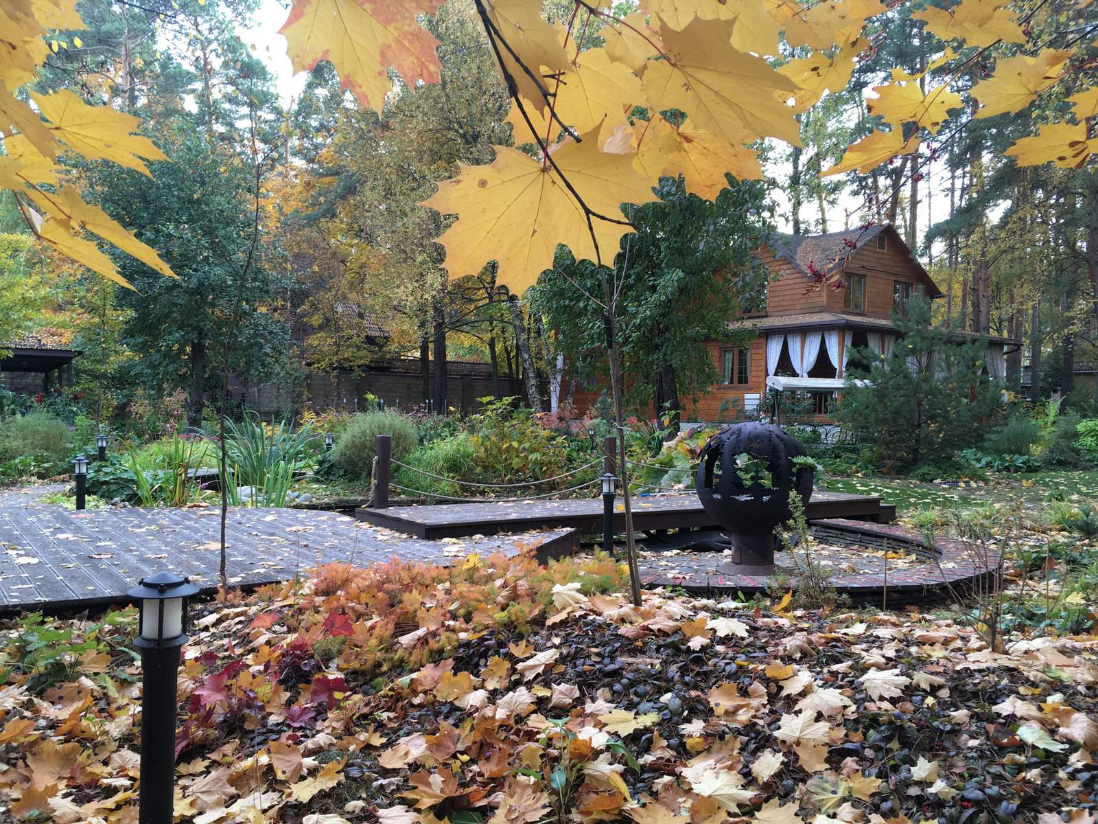 Белкин сад. Осень 2019