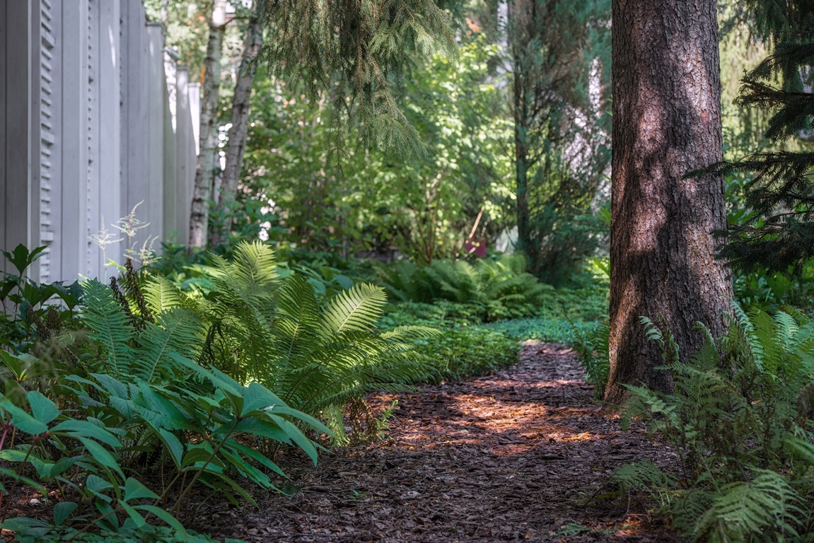 Сергей Токарев