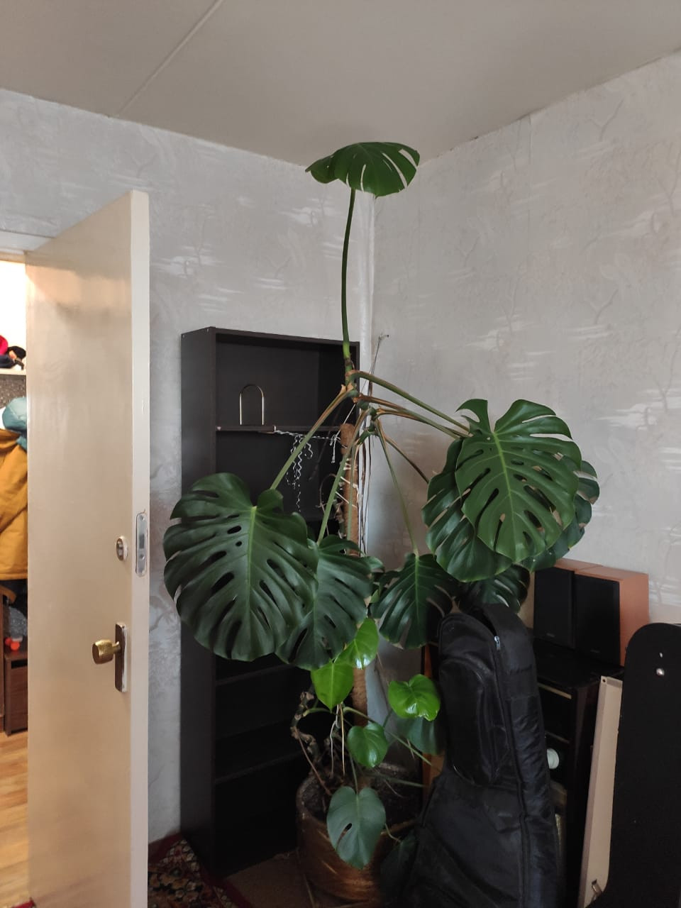 До и после: 78 кв.м — квартира, которую «строили» вокруг мебели