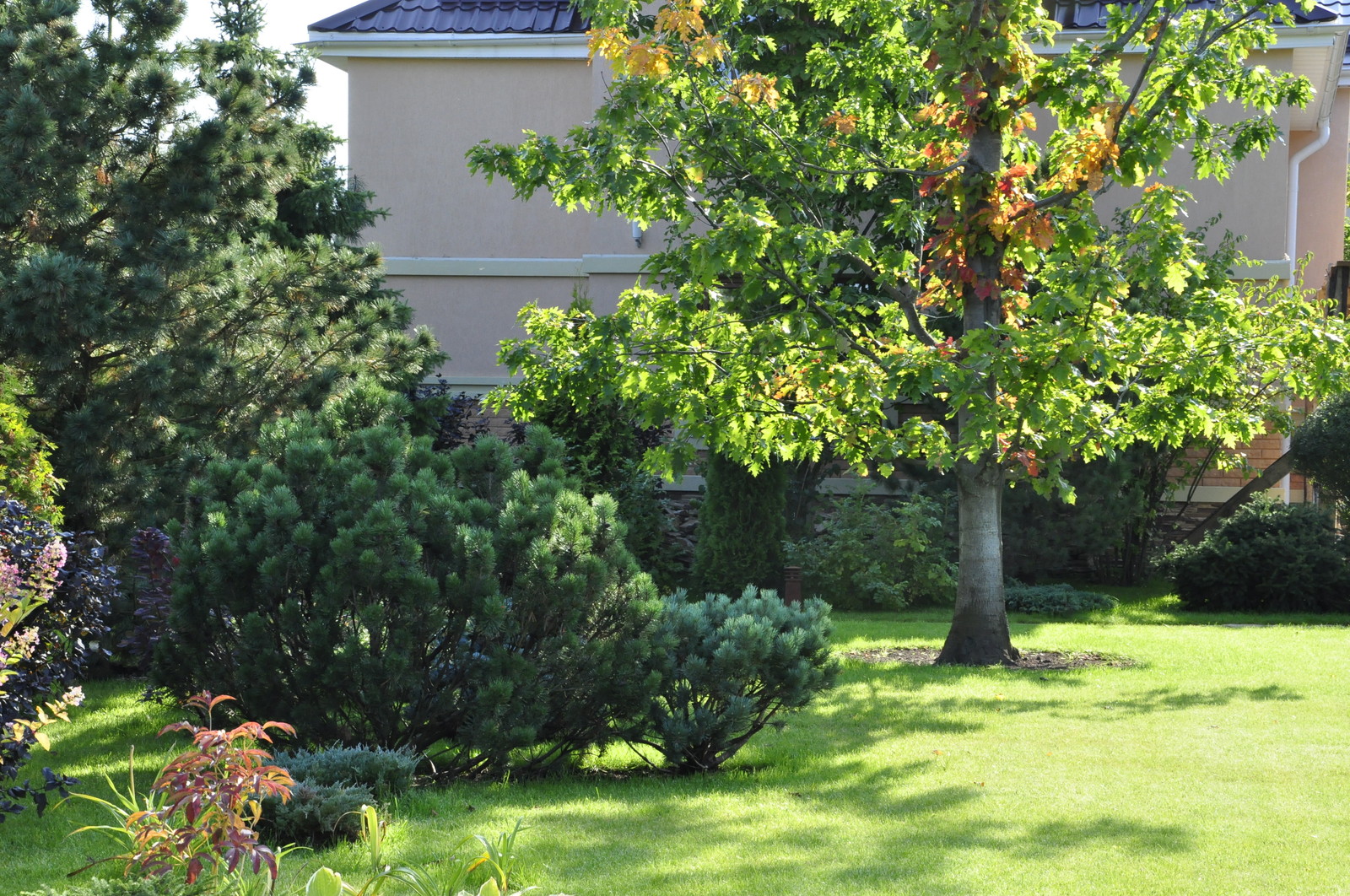 кп "Бенелюкс" - Уход за садом - 100% качество