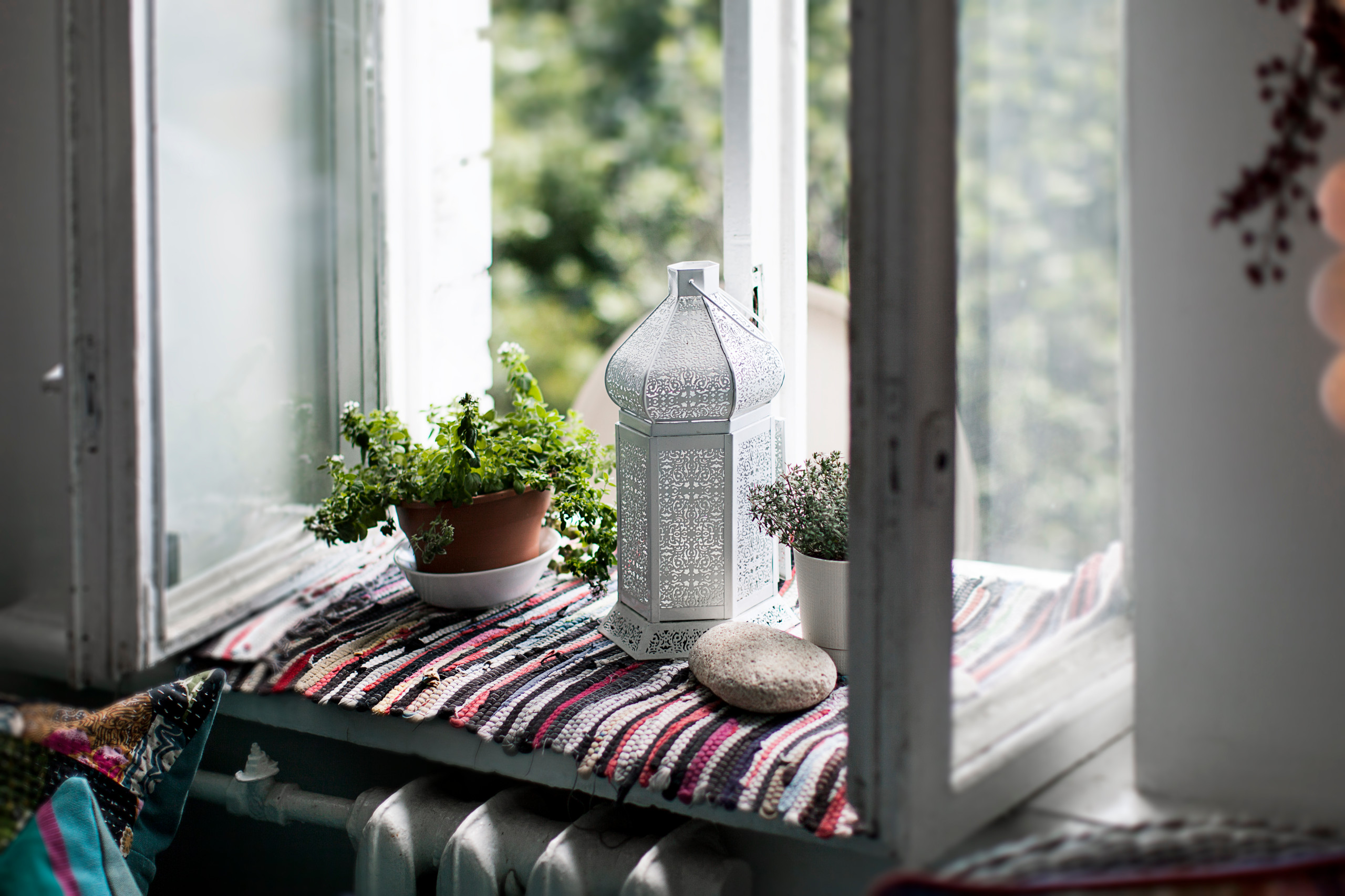 Цветы на подоконнике: 12 идей, как расставить их по правилам декора