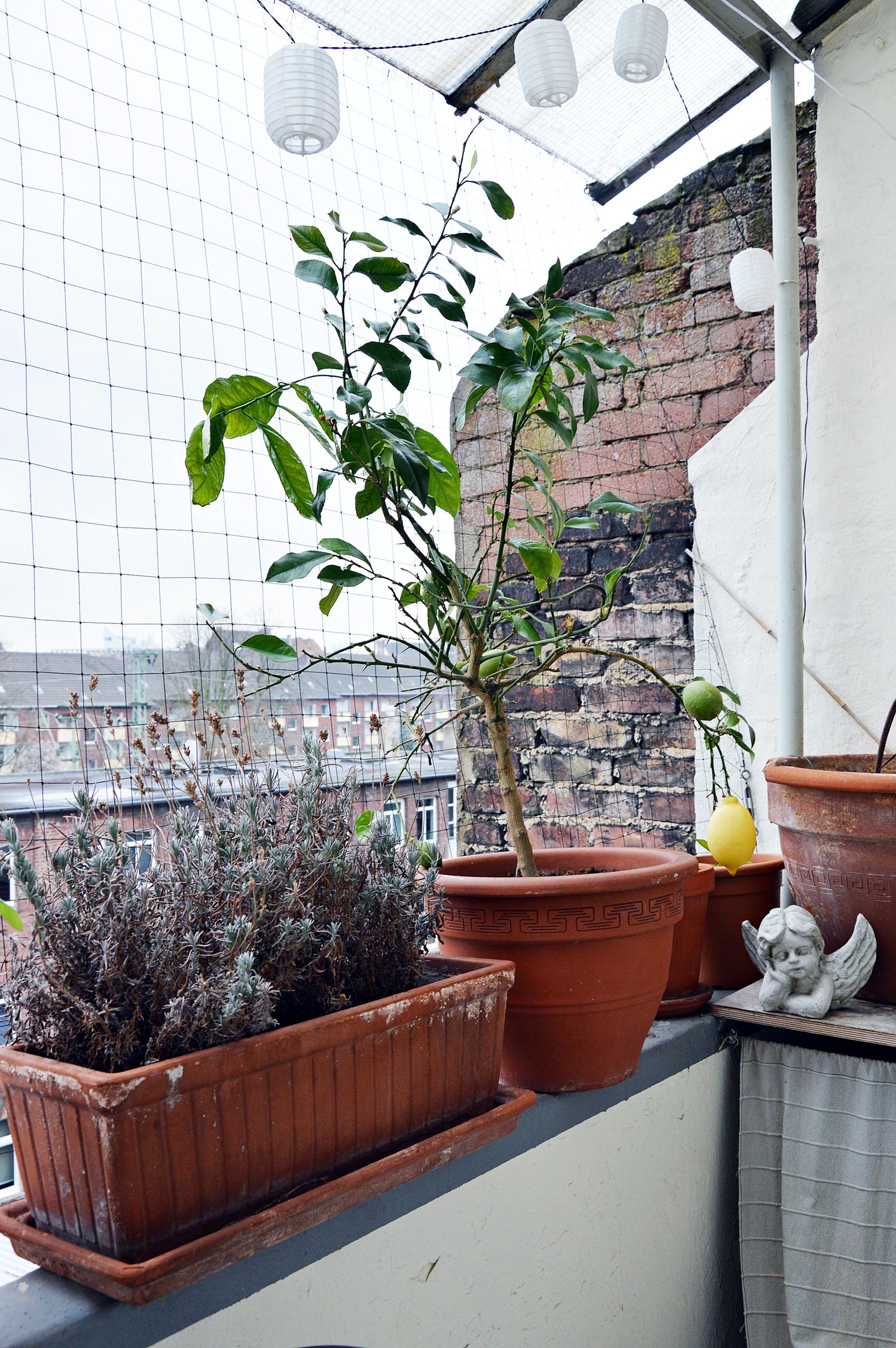 Houzz Германия: Творческое пристанище в Дюссельдорфе