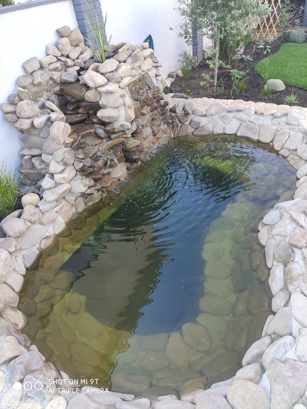 Обложка проекта: Декоративный водоём