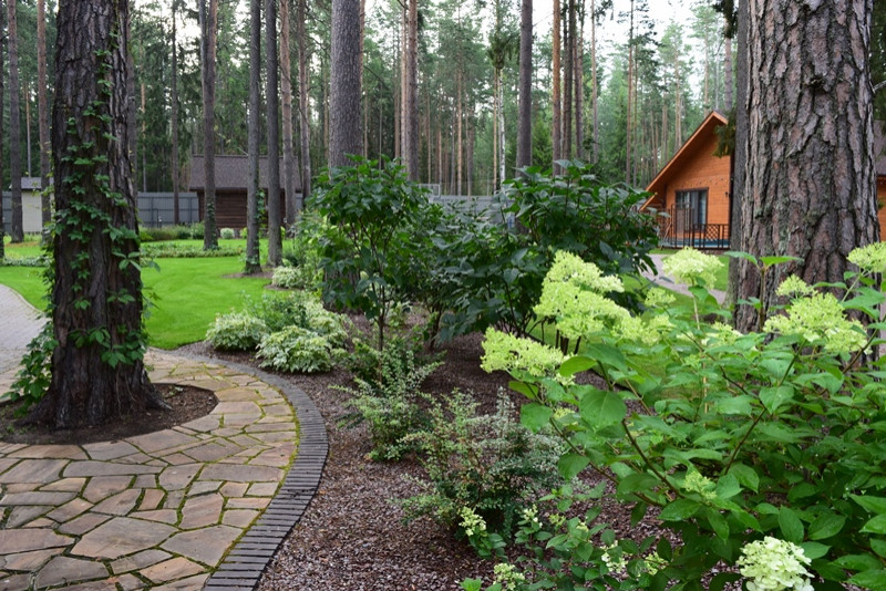 «Пряничный домик» в сосновом бору