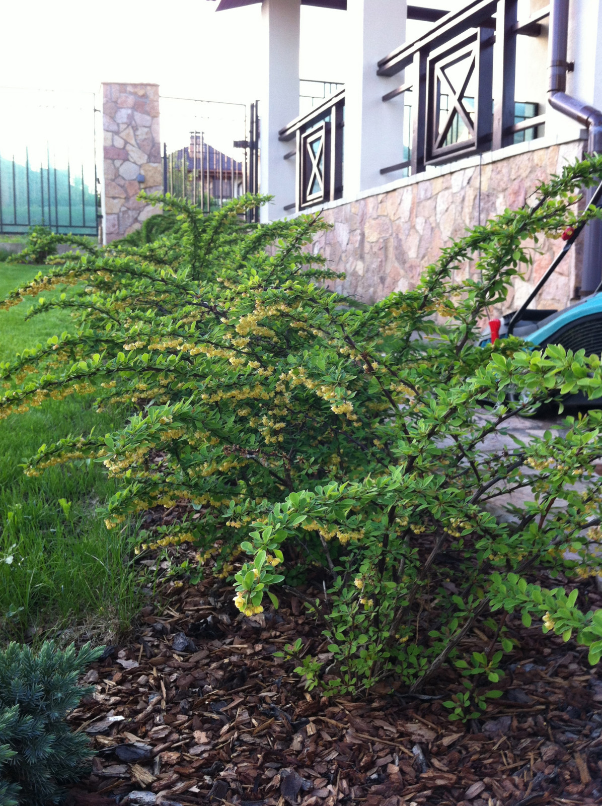 "Сад эгоист"