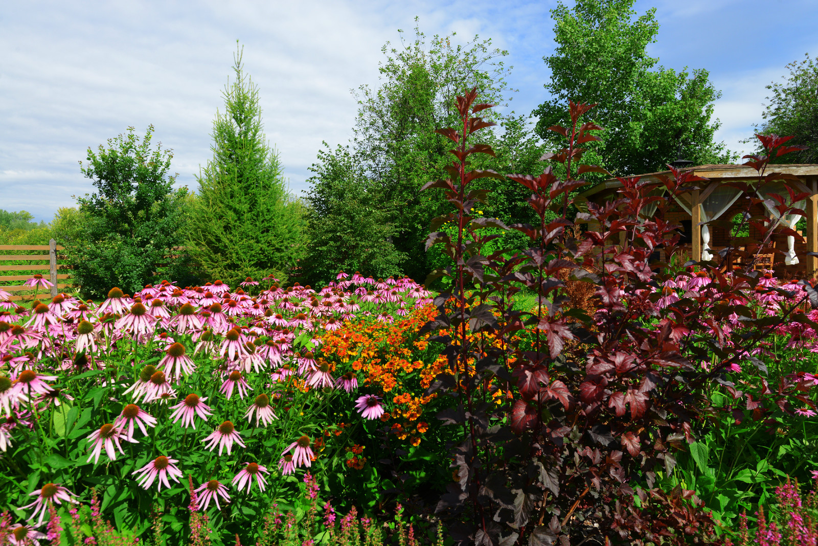 Живописный сад на 15-ти сотках