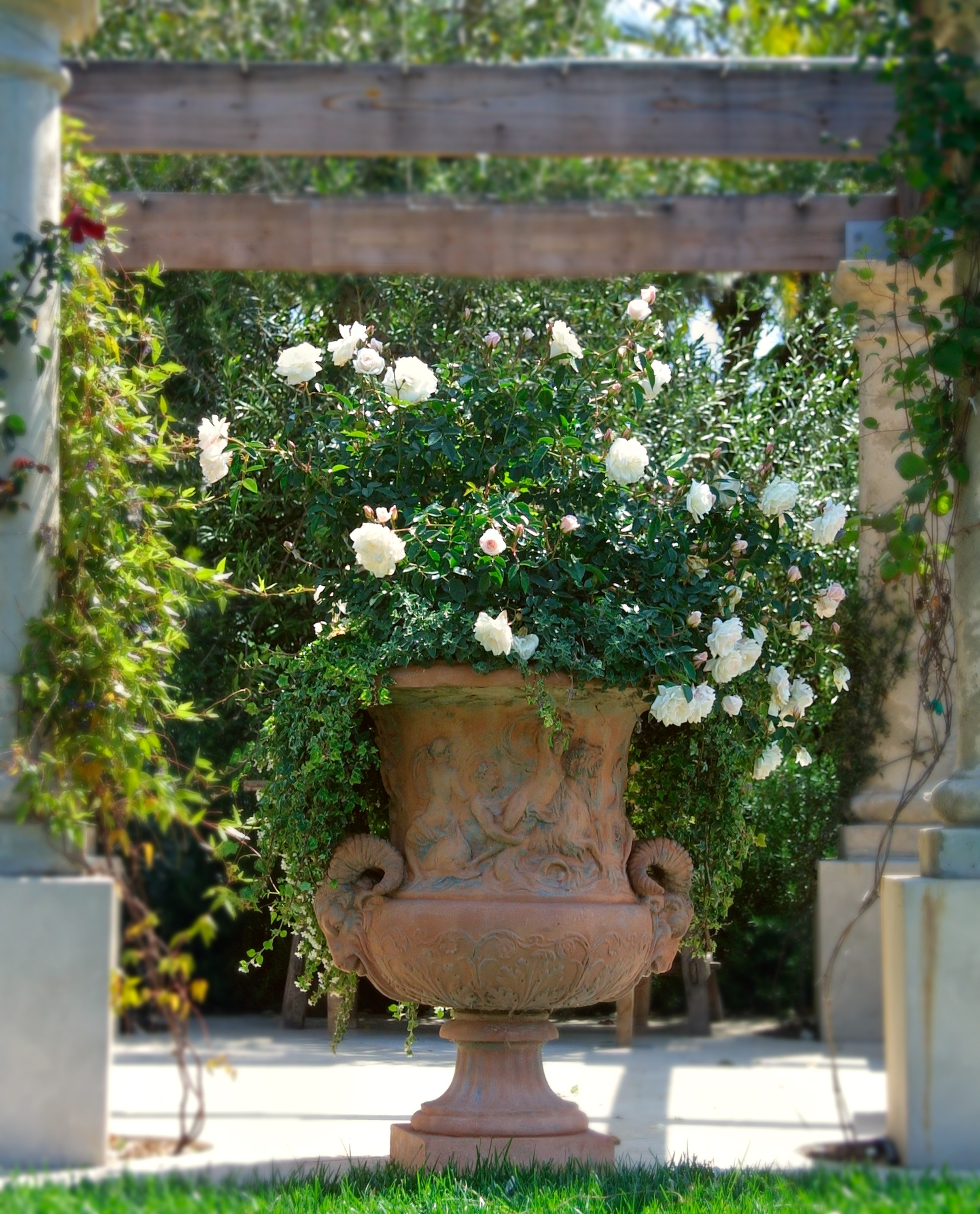 Климатические зоны: Что вам нужно про них знать