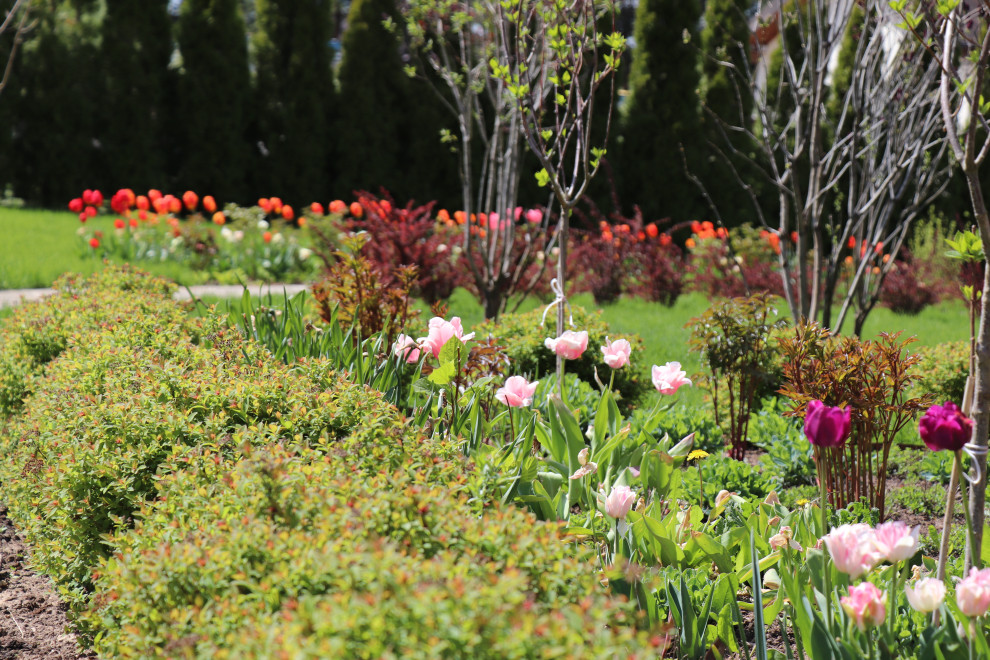 Весна 2020 Сосновые берега