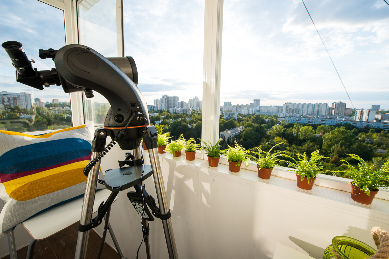 Обложка проекта: Пицца