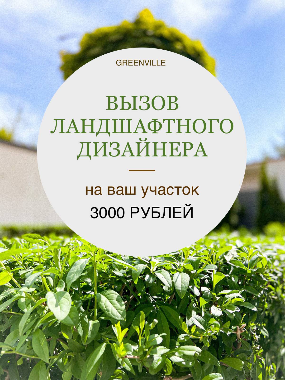 Георгий Русских