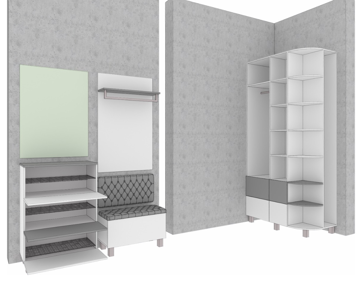 Шкаф и прихожая визуализация