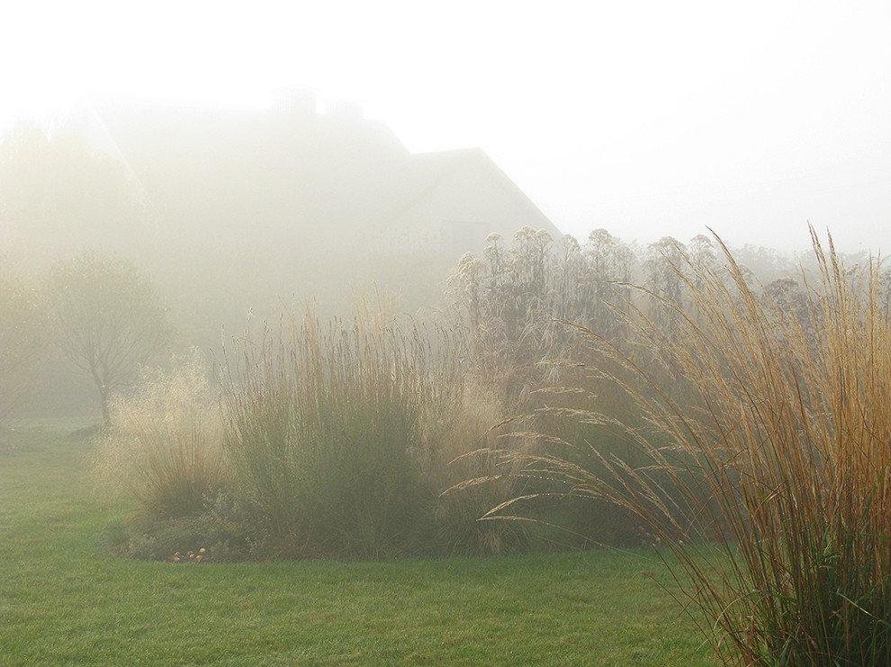 Houzz Белоруссия: Сад в тумане