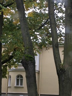 Мария Степанова